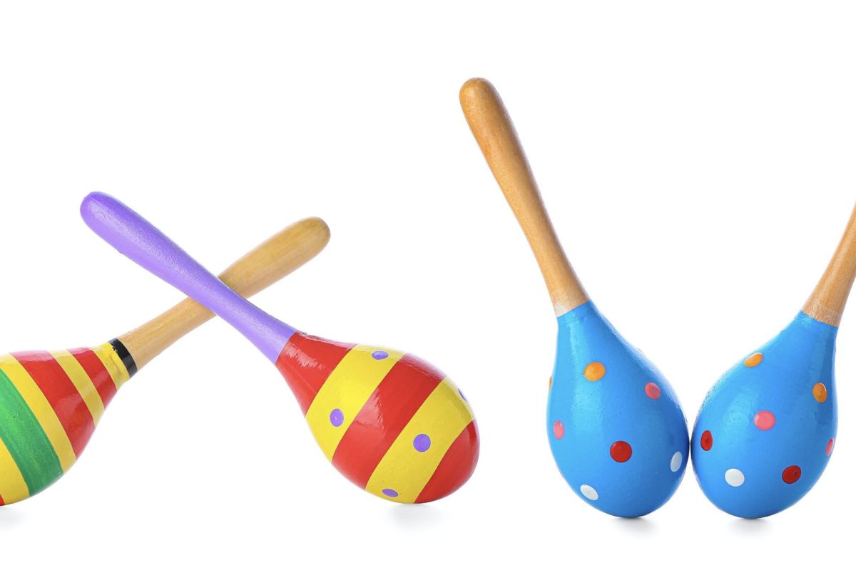 Different maracas on white background